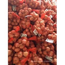 2016 Fresh Shallot (3-5 cm) in 1lb or 40lb Mesh Bag